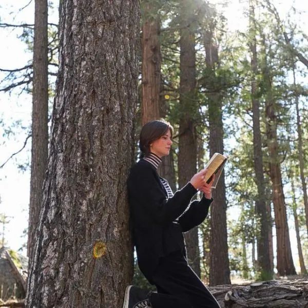 美高推荐｜加州爱德维艺术高中CA-Idyllwild Arts Academy