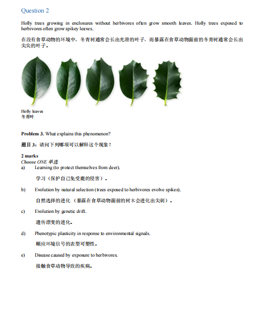 倒计时 2 个月！2026 BBO 生物竞赛真题直接下载！请查收！