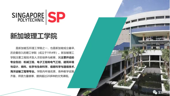 上海新加坡高中 | 上海育才·SYS英联新加坡Poly直招,避开高考内卷,直通新加坡理工学院! 上海新加坡高中 | 上海育才·SYS英联新加坡Poly直招,避开高考内卷,直通新加坡理工学院!