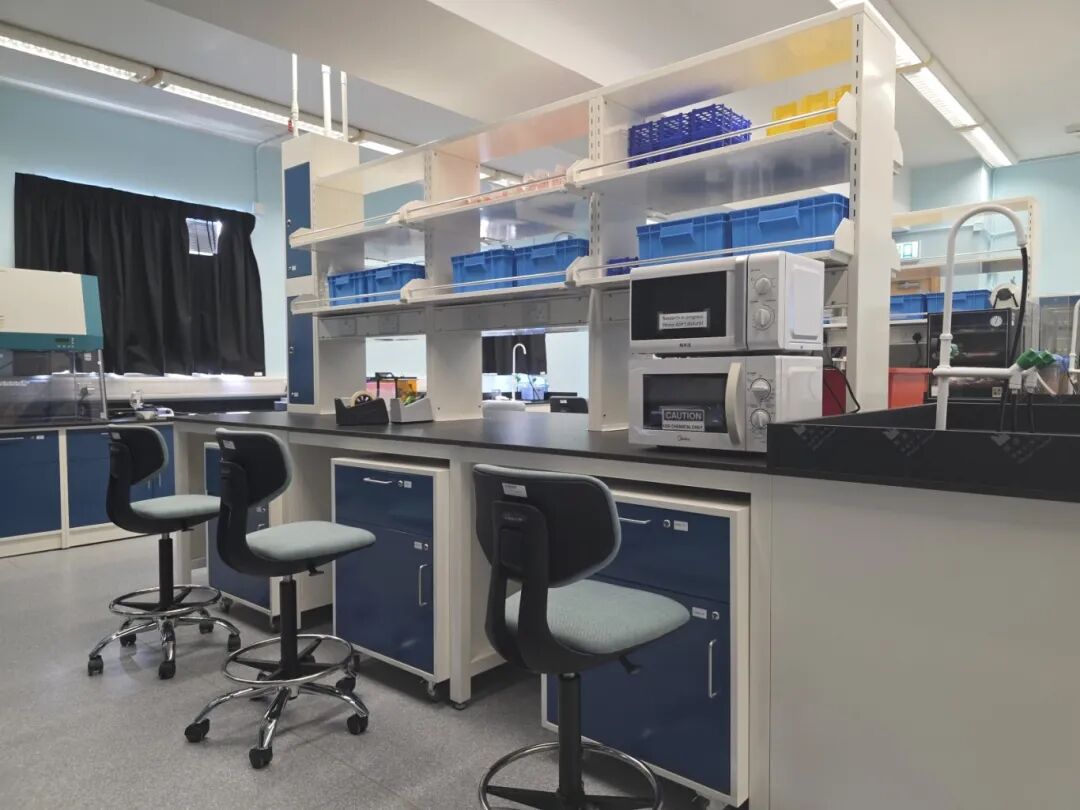 颜宝铃书院 | 香港直资Band1可寄宿，26-27学年中一申请开启