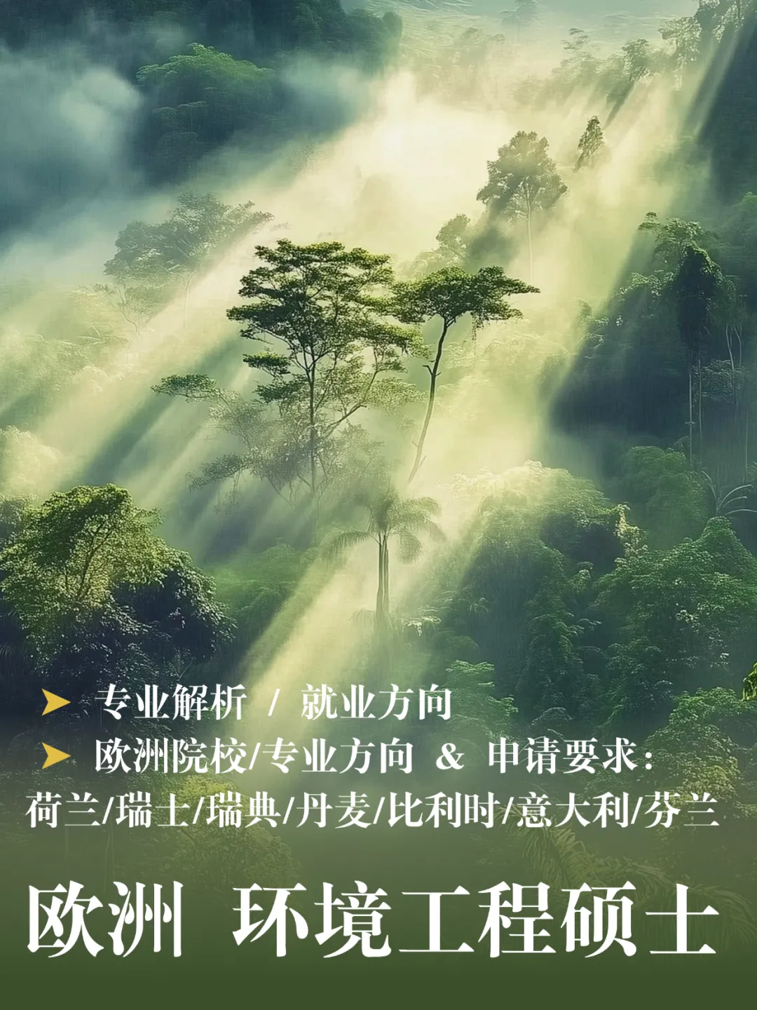 欧洲留学 | 环境工程硕士！院校专业+就业方向+申请要求（意大利/荷兰/比利时/丹麦/瑞士/瑞典/芬兰）