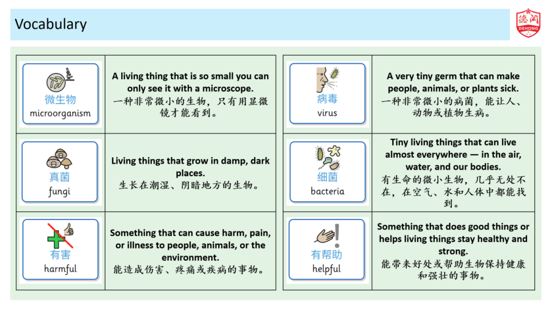 当家长成为“五年级学生”：德闳小学部家长学院科学课，揭秘探究式学习的魔力