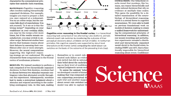 【专业实践】BrainCo 脑机接口与人工智能仿生手