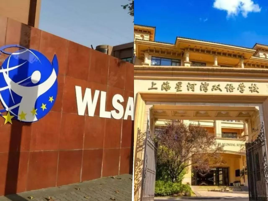 领科/光剑/世外/星河湾/WLSA考试难度大PK！今年春招，难度升级了吗？