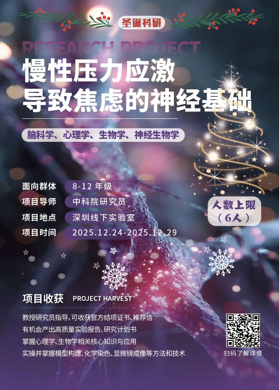 项目合集 | 机构2025圣诞&2026寒假项目全新线下科研项目特辑