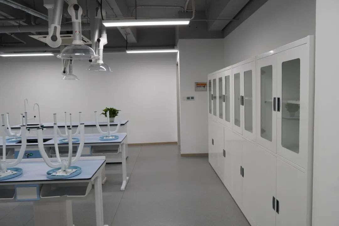 上海青藤学园中日融合高中|校园开放日&2026年春季生招考公告