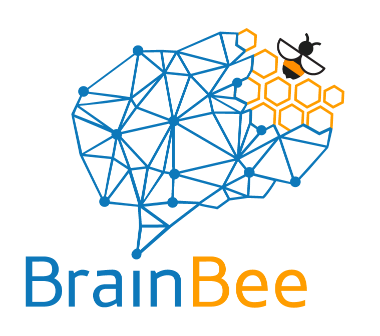 Brainbee脑科学竞赛考什么？零基础学生如何准备？brainbee竞赛培训班11月开课！