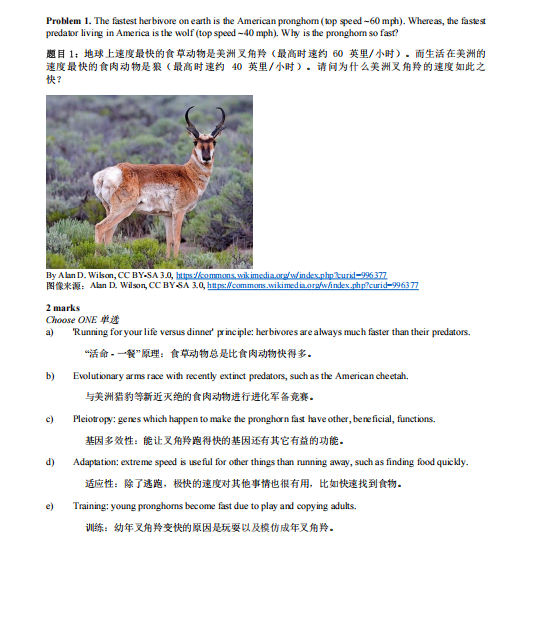 倒计时 2 个月！2026 BBO 生物竞赛真题直接下载！请查收！