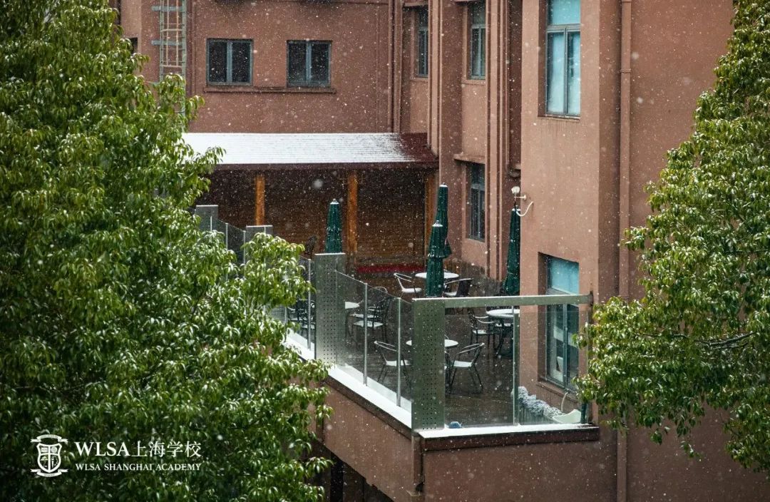 抢位开始！WLSA上海2026招生首场考情巨变？深度解析来了！备考WLSA必看！