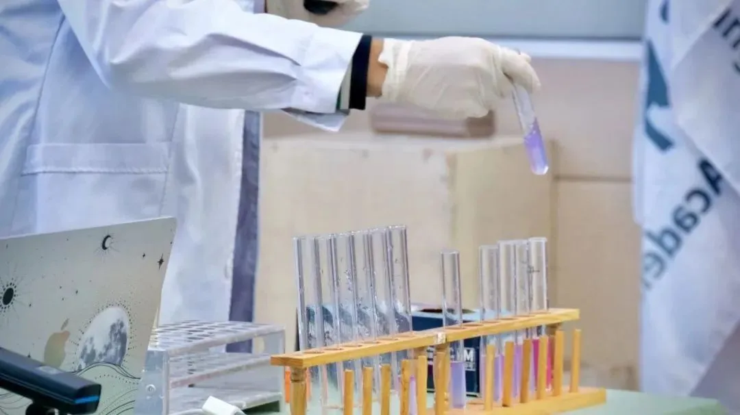 上海世外26年首场春招考试11月22日！考情分析+真题测试卷！