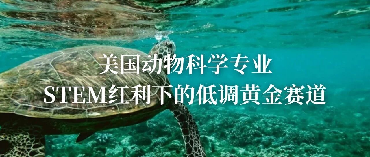 美国动物科学专业：STEM红利下的低调黄金赛道 就业薪资双高！