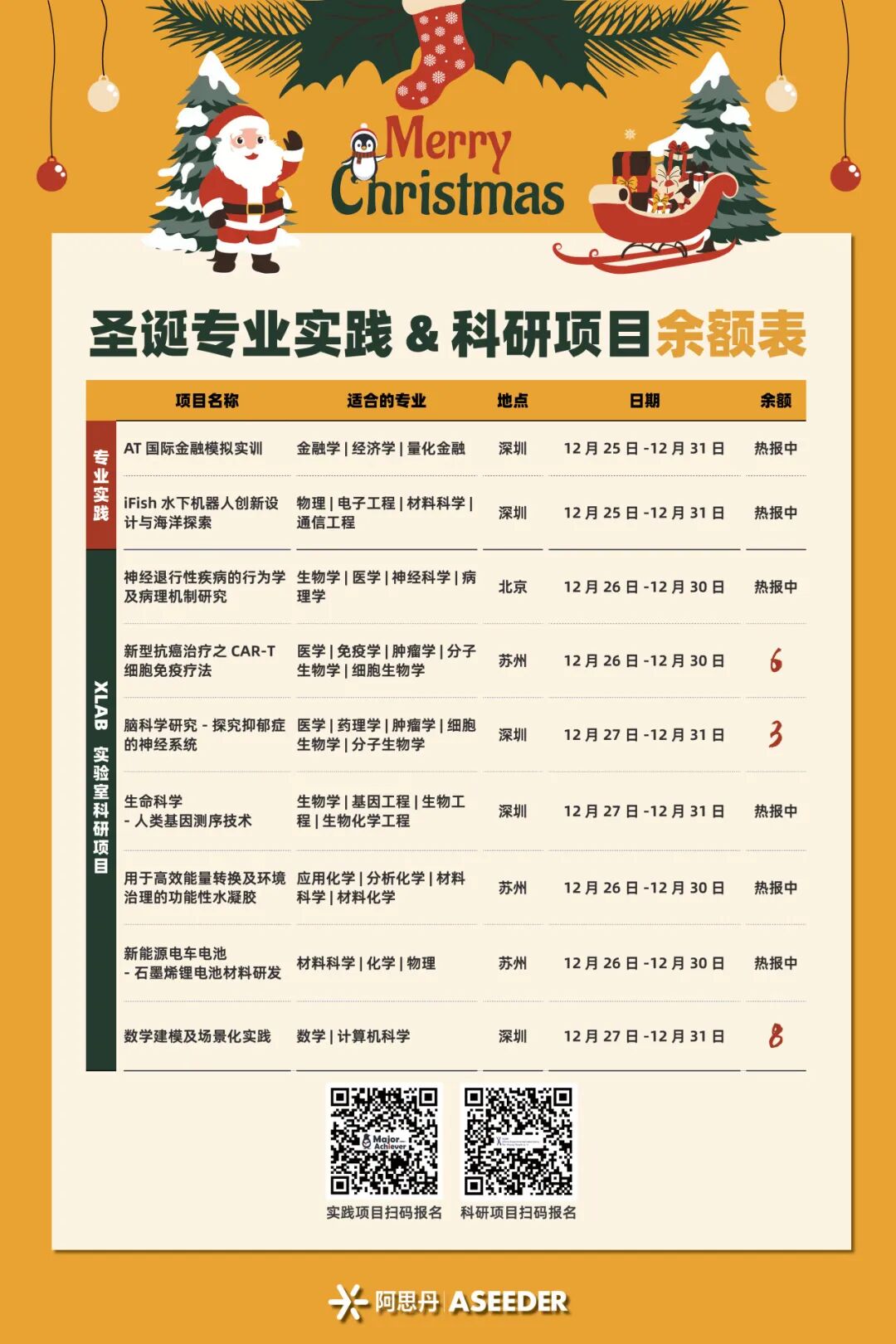 商科/工程/生物医学/物化/计算机 部分圣诞项目仅余3位！