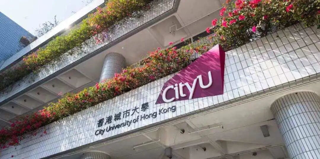 香港城市大学全奖博士招生 | Prof. CHAN（700）