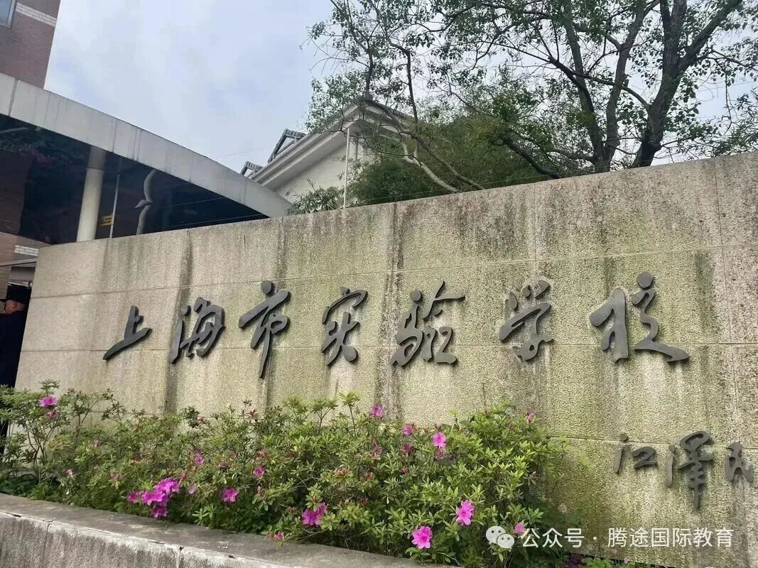 想进上海三公需要哪些证书?认可度超高这些加分项帮你弯道超车!