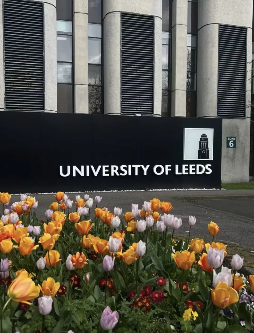 在红砖名校利兹大学读书是种什么体验？
