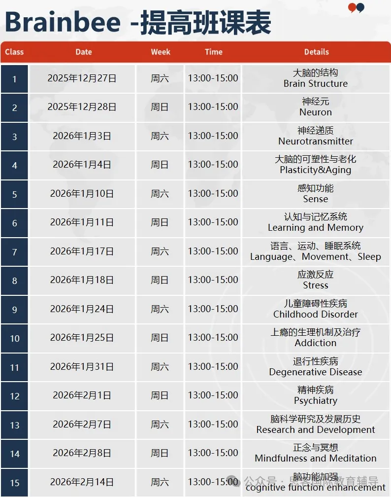 怕竞赛门槛高？2026 Brainbee 新规放宽，5-12 年级零基础也能拿藤校认可奖项