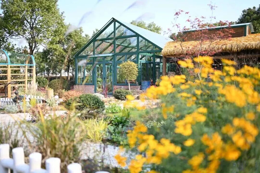 上海青浦区国际学校|上海宋庆龄学校 上海青浦区国际学校|上海宋庆龄学校