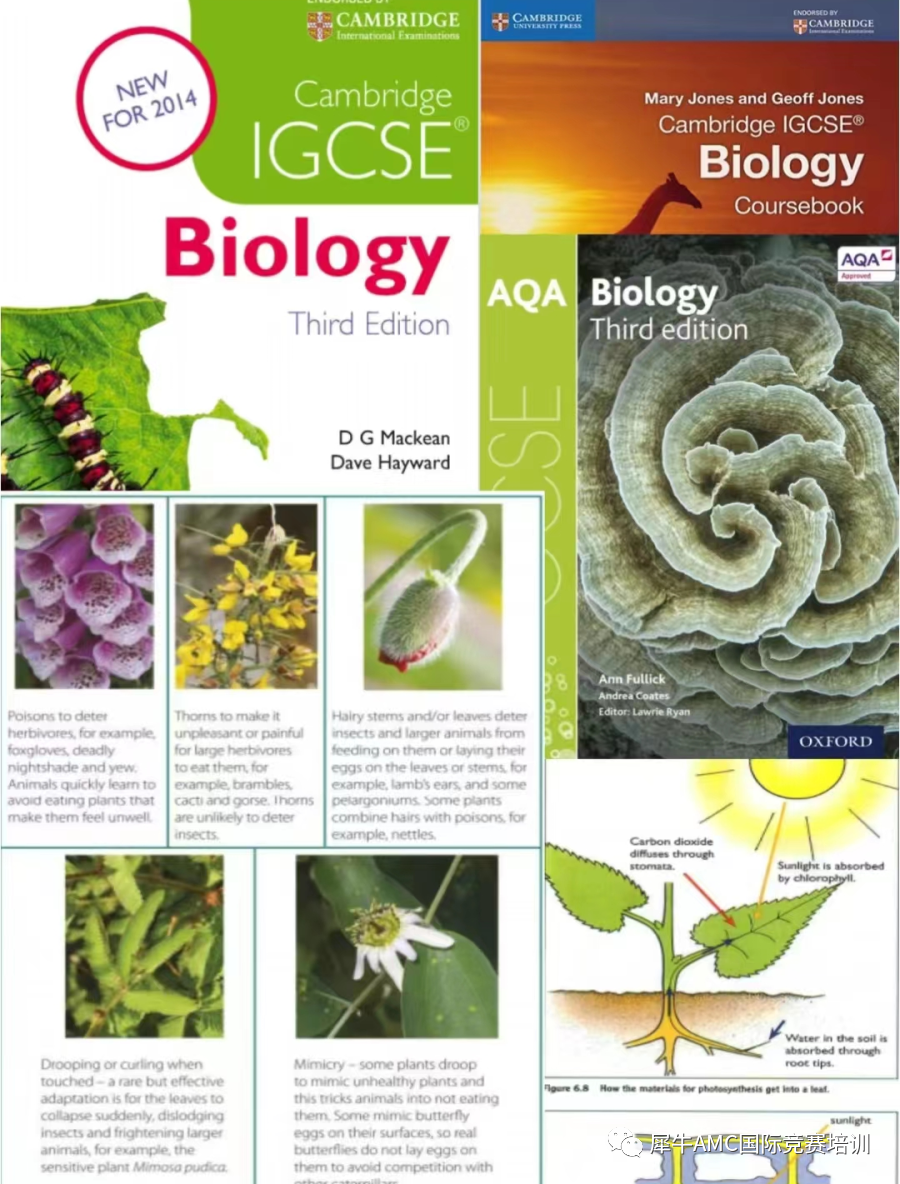 igcse课程选课怎么选？一文介绍清楚igcse选课！