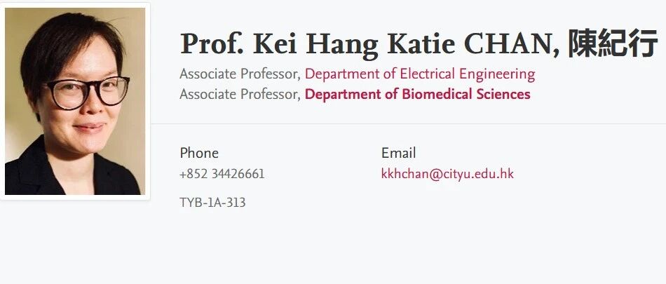 香港城市大学全奖博士项目（Kei Hang Katie CHAN教授）