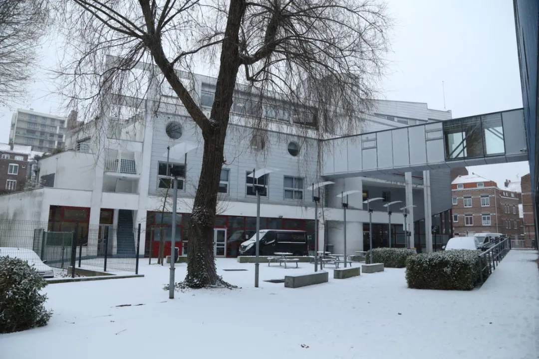 IESEG高商1/2年制英授硕士:人工智能与商业数据分析 - 里尔校区 IESEG高商1/2年制英授硕士:人工智能与商业数据分析 - 里尔校区