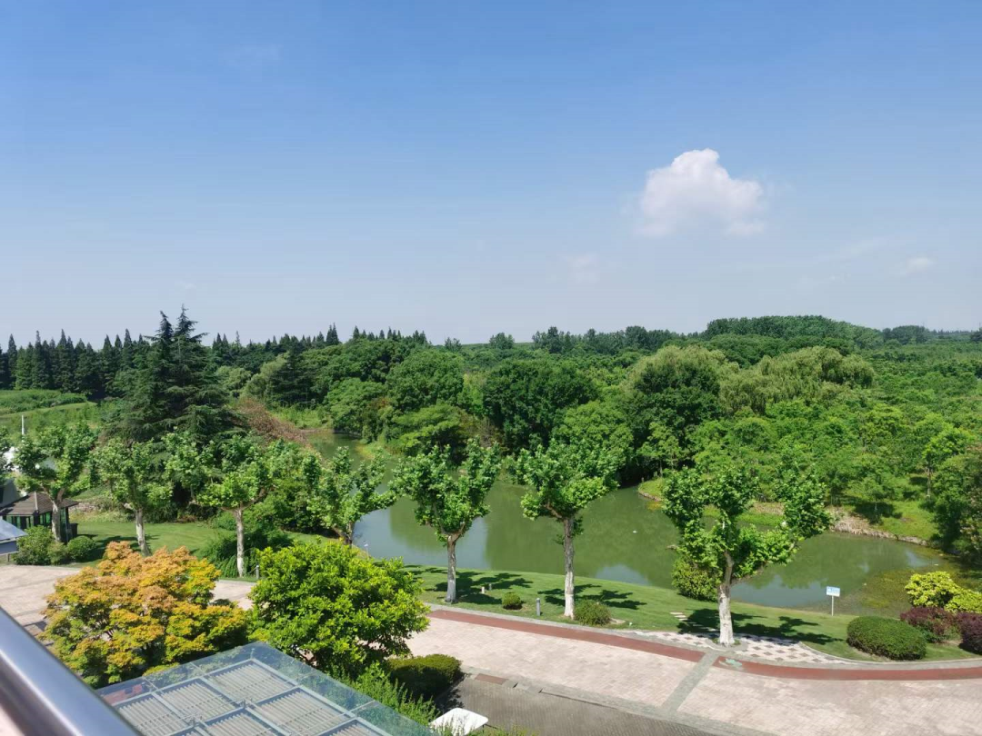 上海日本高中 | 2026年朝阳义塾春季招生简章! 上海日本高中 | 2026年朝阳义塾春季招生简章!