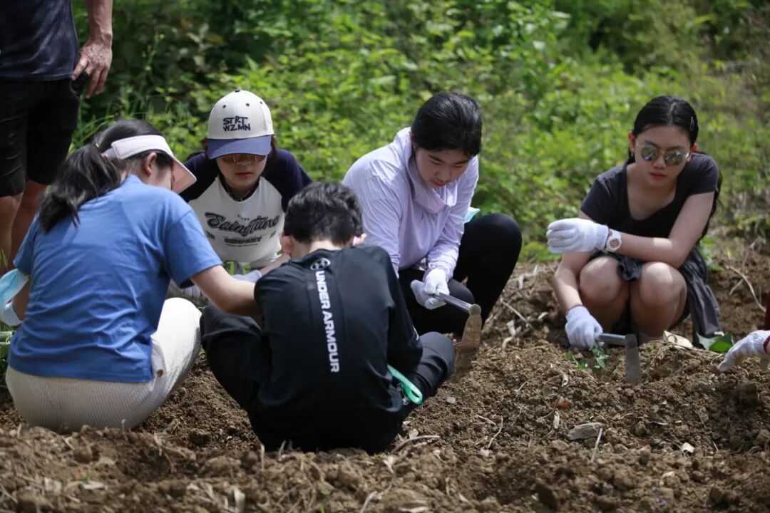 升入初中后的八大变化!看德闳成长支持体系如何帮助孩子顺利度过小升初 升入初中后的八大变化!看德闳成长支持体系如何帮助孩子顺利度过小升初