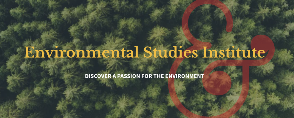 2026|全美TOP20顶尖大学,WashU圣路易斯华盛顿大学夏校,已开放申请! 2026|全美TOP20顶尖大学,WashU圣路易斯华盛顿大学夏校,已开放申请!