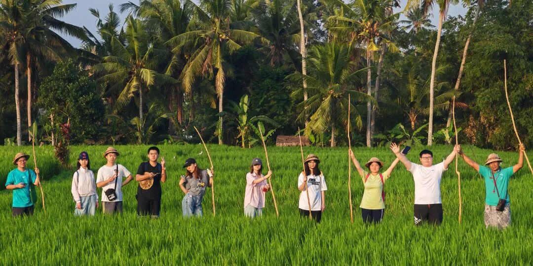 2025秋冬志愿者项目,学科知识解决社会议题 2025秋冬志愿者项目,学科知识解决社会议题