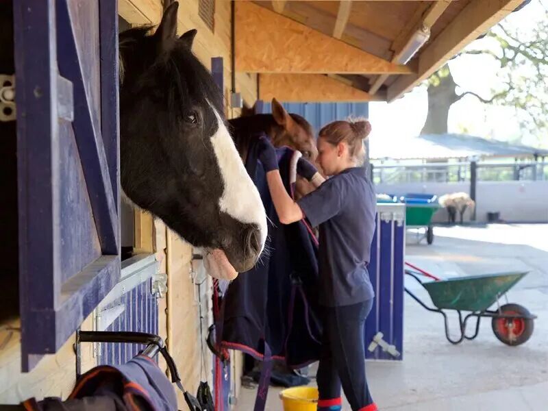 Stonar School|英国STEM强校,以专业马术课程闻名,开设独特的飞行俱乐部 Stonar School|英国STEM强校,以专业马术课程闻名,开设独特的飞行俱乐部