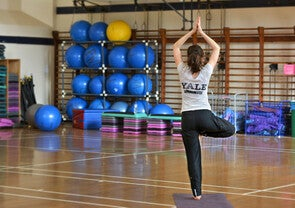 琢玉计划 | 美国名校深度探访系列：Yale University