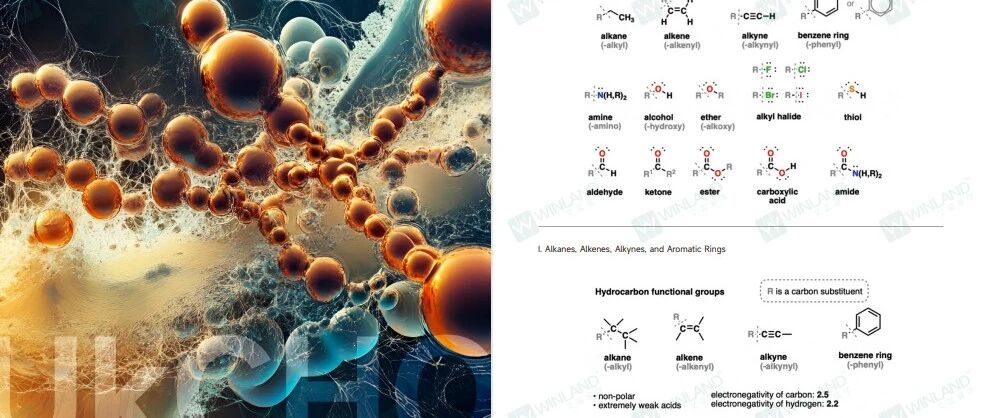 英高/港高在读必看！2026UKChO金奖怎么拿
