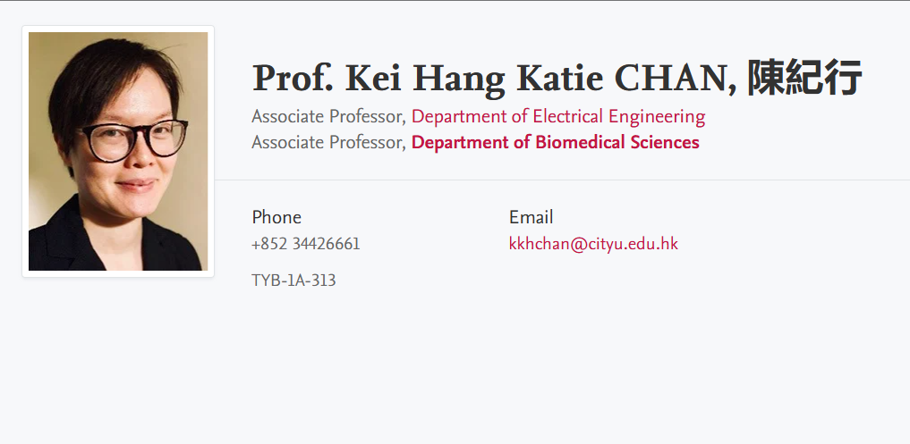 香港城市大学全奖博士项目（Kei Hang Katie CHAN教授）