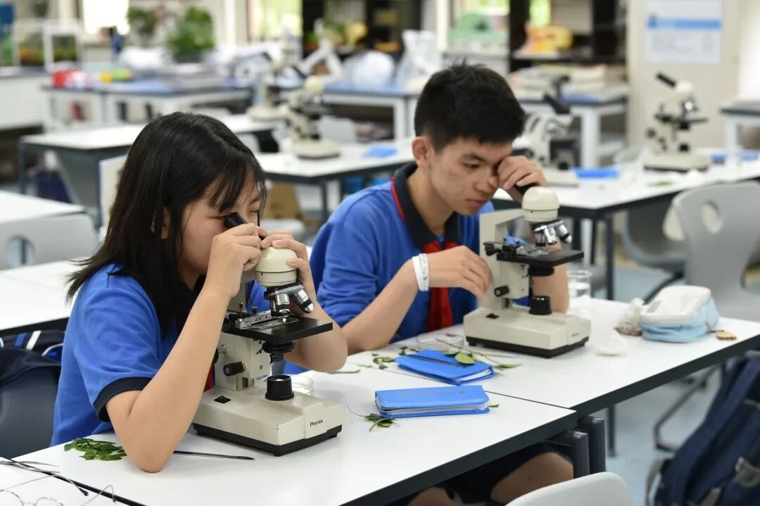 2025学年第二学期插班生入学申请