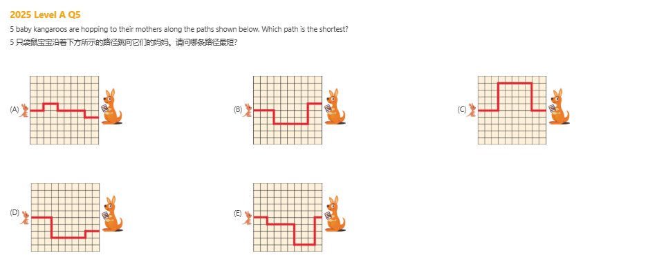 低龄数学启蒙，为何第一步如此关键？我发现许多牛娃的起点，竟然都是这个“小”竞赛！