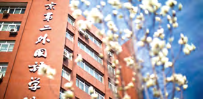 中外合作国际本科深度对比:2+2还是3+1?哪种模式更适合你? 中外合作国际本科深度对比:2+2还是3+1?哪种模式更适合你?