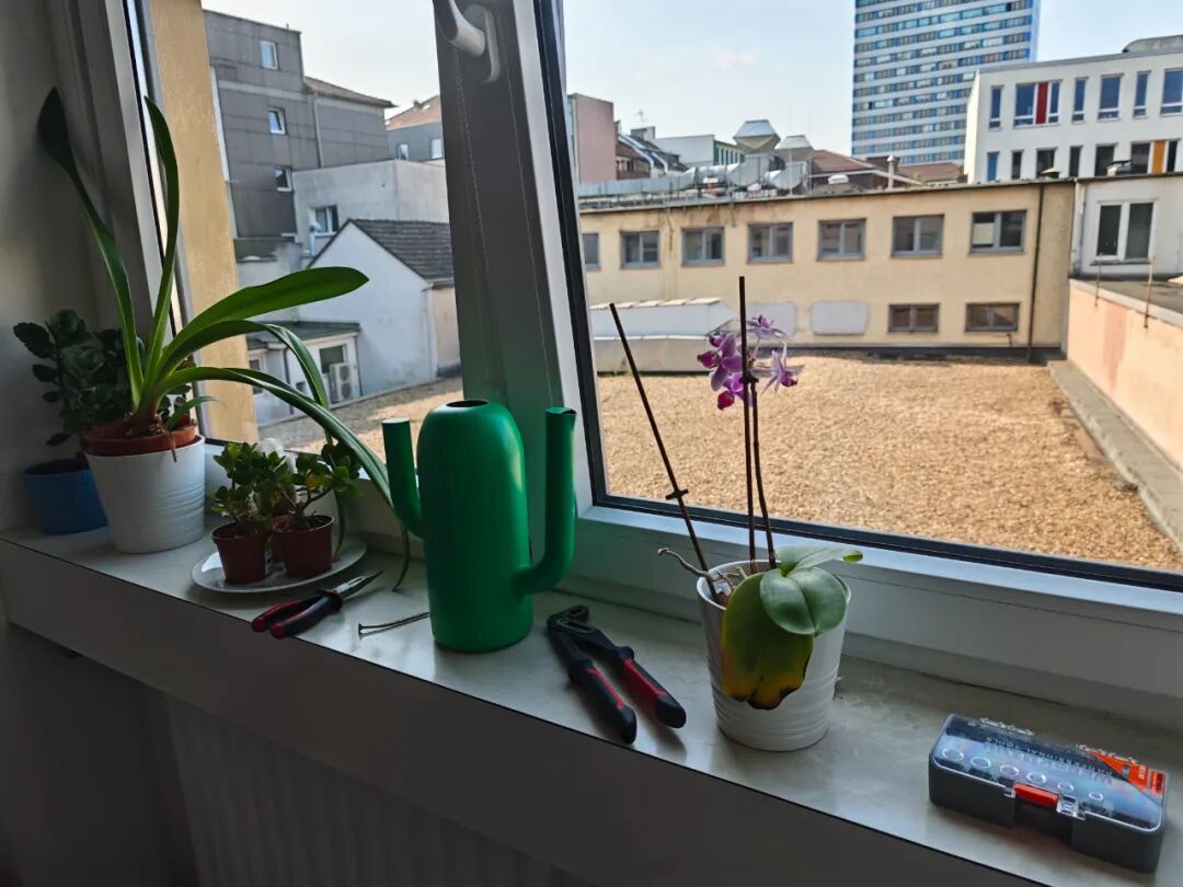 德国教育新议题:校园应开设“危机应对课”吗? 德国教育新议题:校园应开设“危机应对课”吗?