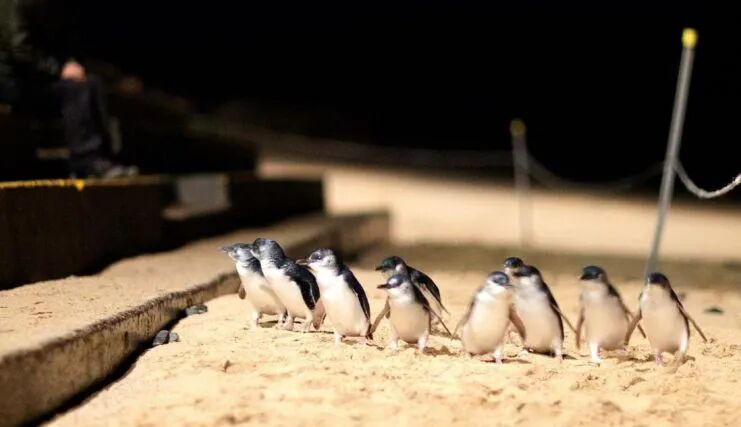 【9年级及以上】开启你的全球菁英之路!五大项目地任你Pick,还有UCAS认证加持! 【9年级及以上】开启你的全球菁英之路!五大项目地任你Pick,还有UCAS认证加持!