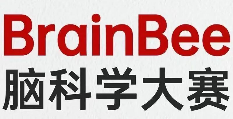 Brain Bee脑科学大赛五大核心要点,助你赢在2026赛季! Brain Bee脑科学大赛五大核心要点,助你赢在2026赛季!