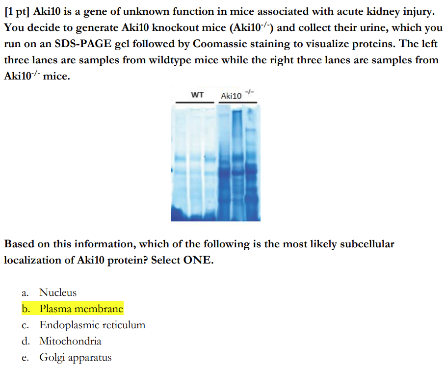 生物圈神仙打架!BBO/USABO哪个更易冲奖、稳提背景? 生物圈神仙打架!BBO/USABO哪个更易冲奖、稳提背景?