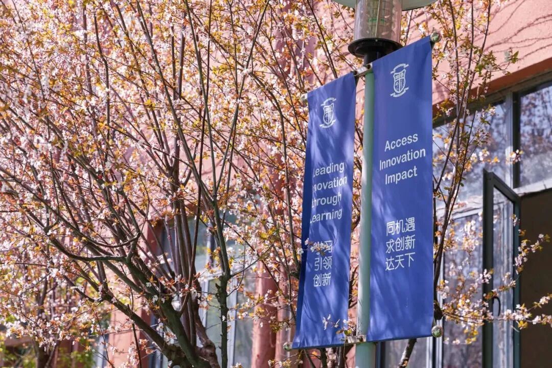 抢位开始！WLSA上海2026招生首场考情巨变？深度解析来了！备考WLSA必看！