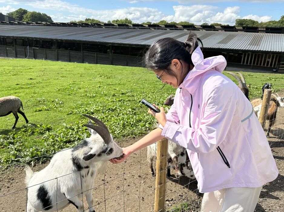阿思丹国际菁英计划报名中！英欧澳新日五大项目地任你选，有机会获得UCAS 认证 buff！