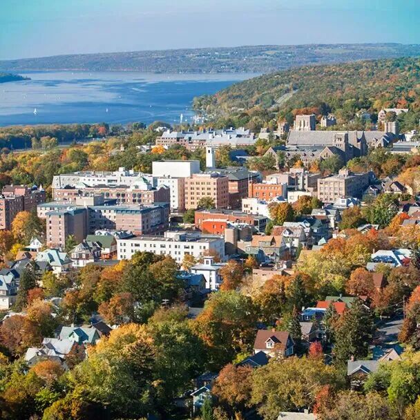上海国际学校|上海七宝德怀特高级中学 上海国际学校|上海七宝德怀特高级中学