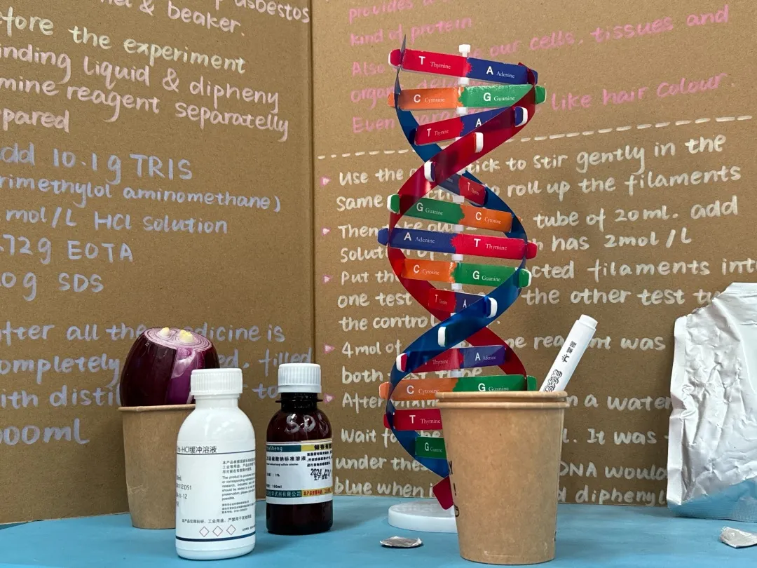 领科国际学校怎么样?招生时间/升学成果/师资/课程设置/校园环境? 领科国际学校怎么样?招生时间/升学成果/师资/课程设置/校园环境?