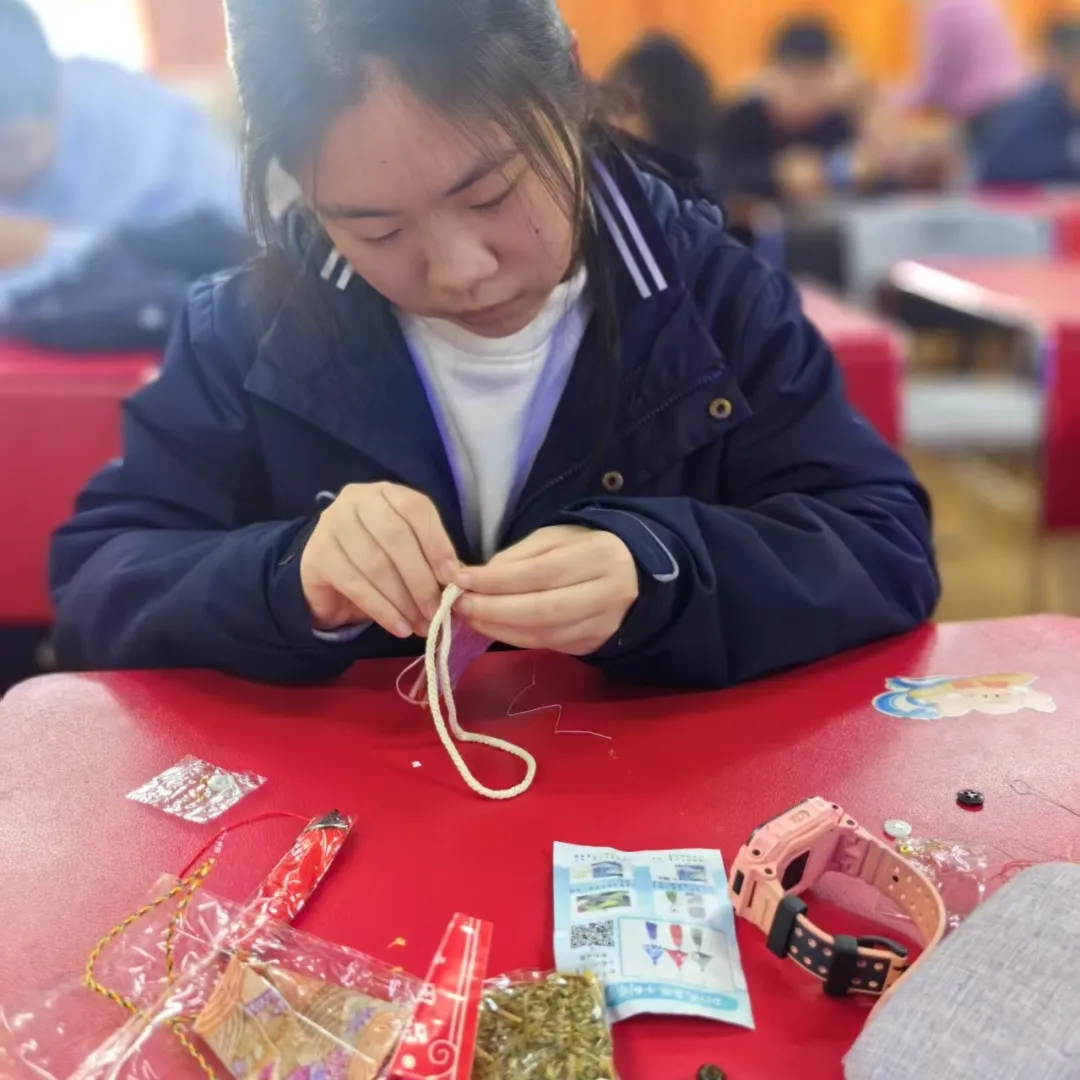 南京国际高中|南理工紫金学院OSSD&A-level、日本课程2026年招生简章！学费8万一年！