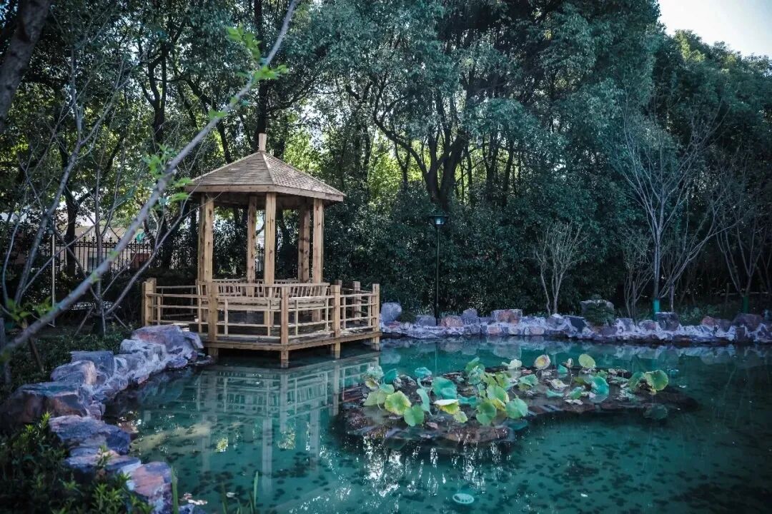 上海徐汇国际学校 | 民办位育中学国际部！