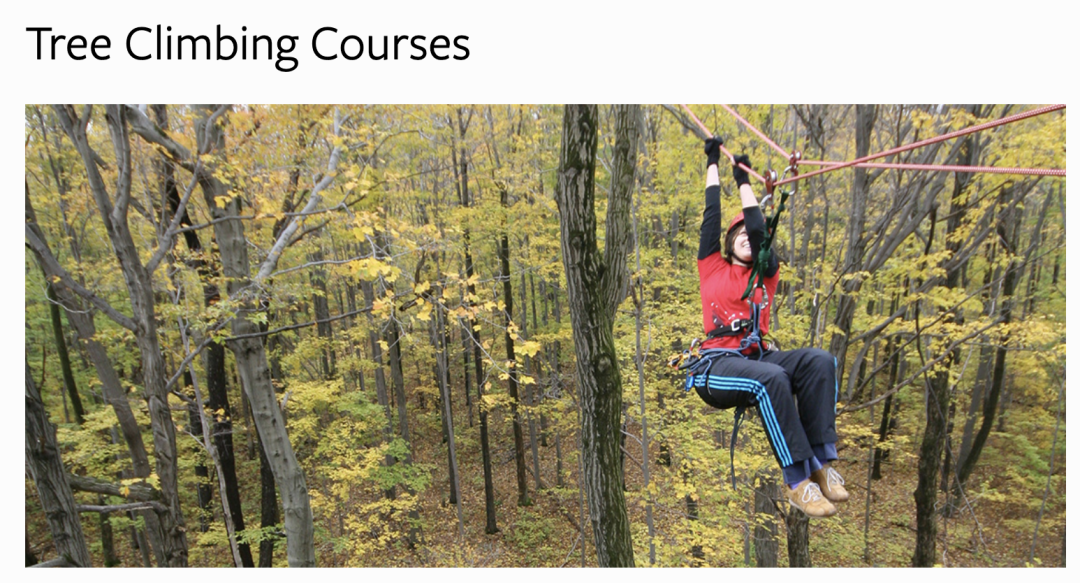 美国的大学课程有多“疯”？