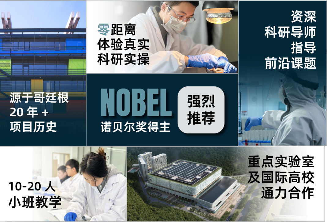 常年霸占留学热度第一的计算机专业可以做哪些科研和实践项目？