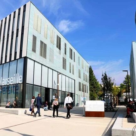 艾克斯马赛大学IAE学院管理学博士项目 PhD in Management