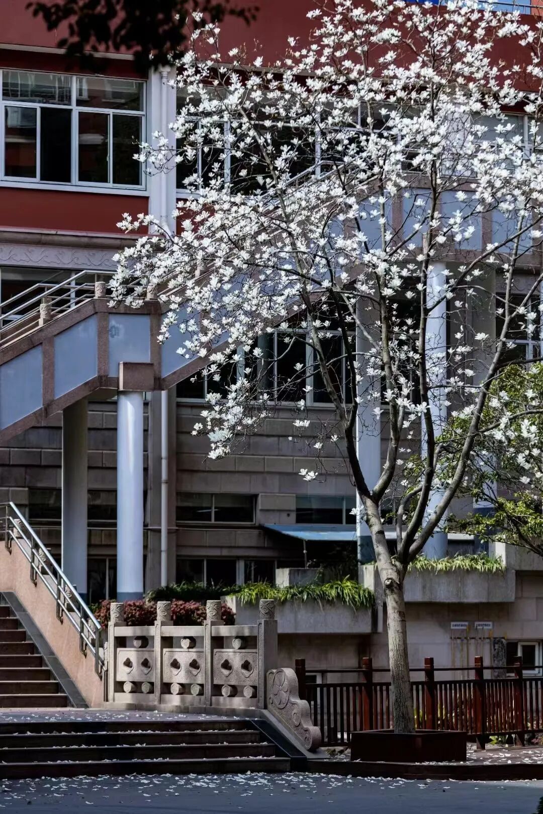 招生|日高课程校园开放日(11月23日) 招生|日高课程校园开放日(11月23日)