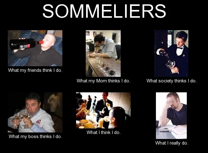 葡萄酒专业是不是天天喝到爽？